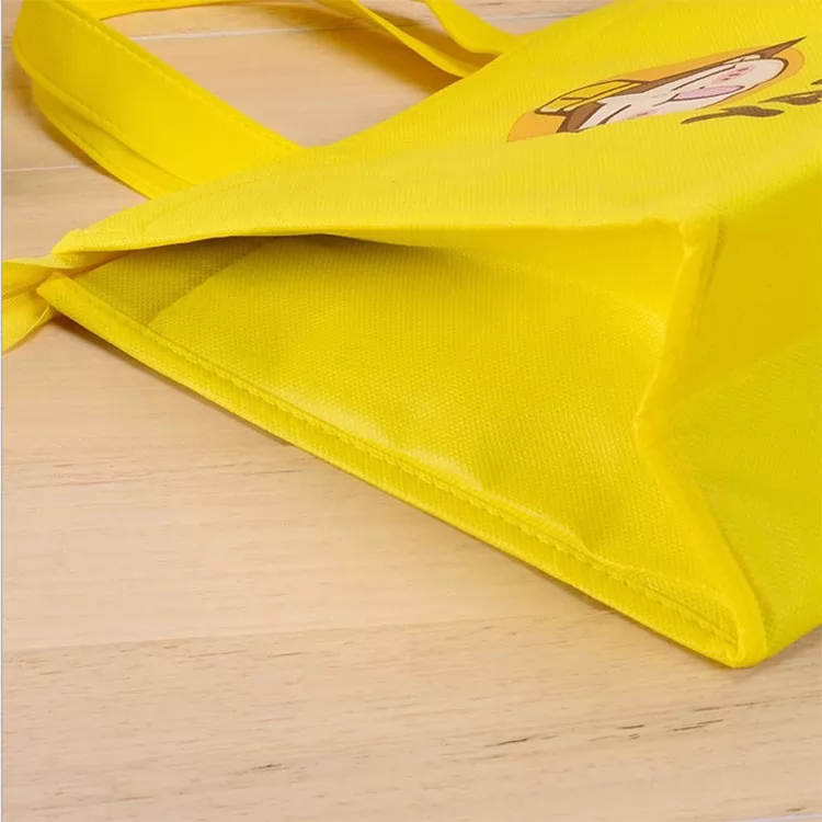 non woven eco bag