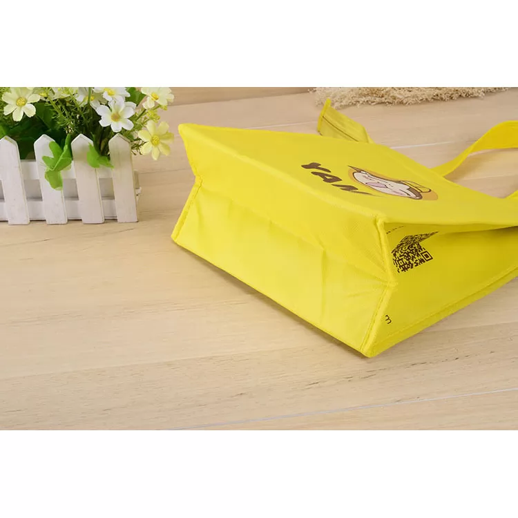 non woven eco bag